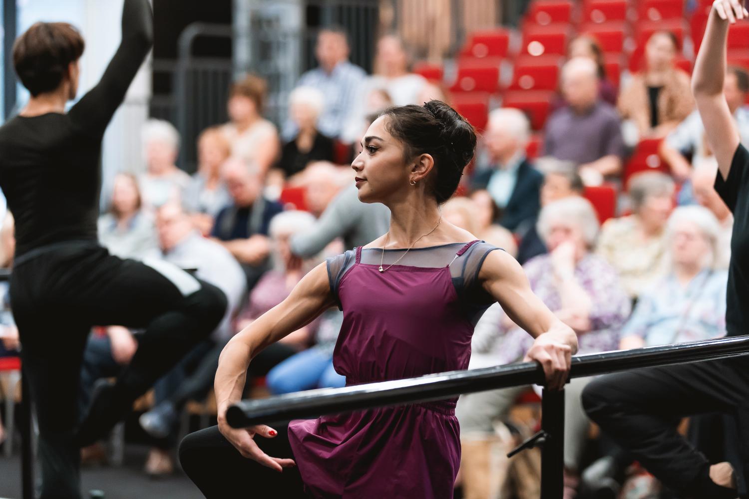 Dancer at the Barre